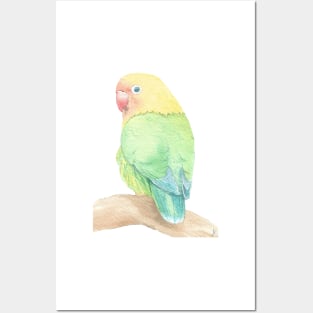 Lovebird watercolor portrait Posters and Art